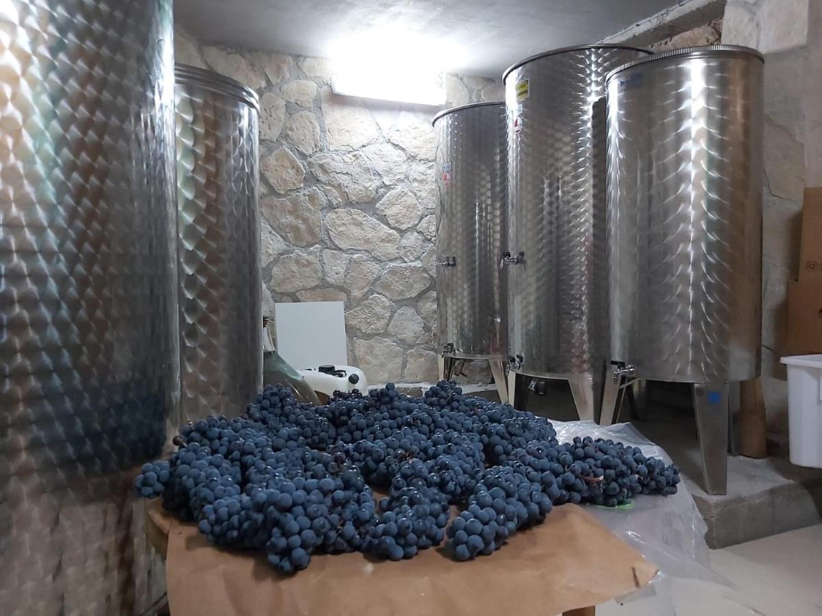 Apartman Genova Imotski Donji Vinjani Bagian luar foto